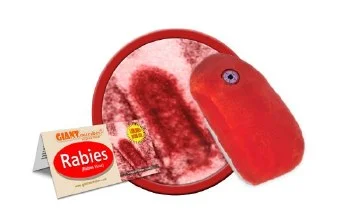 hobbyrising-2085257
