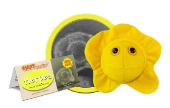 hobbyrising-2085504