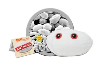 hobbyrising-2085525