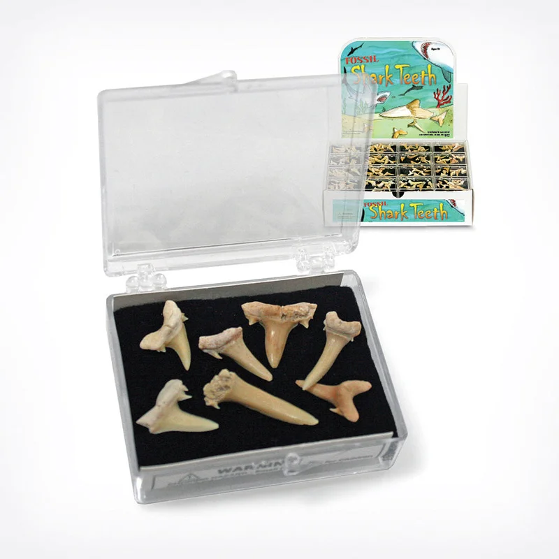 hopscotchtoys1970670