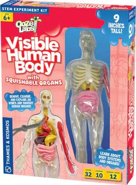 playmatterstoys-1970394