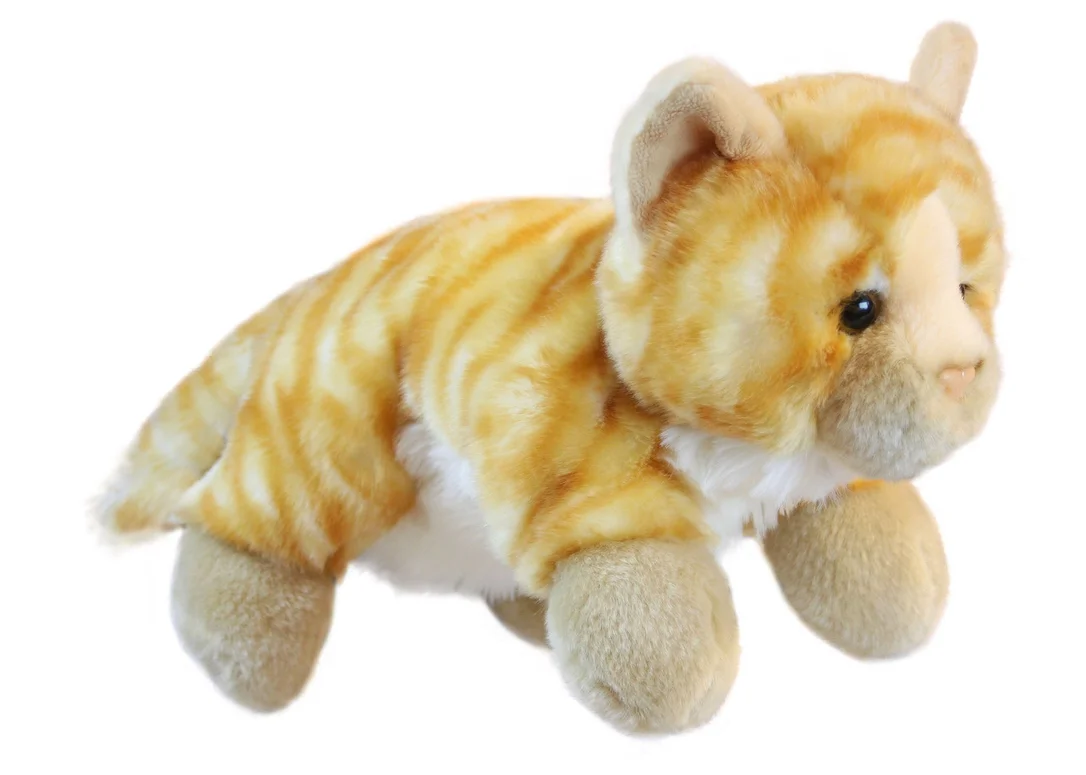 toychestnh1889431
