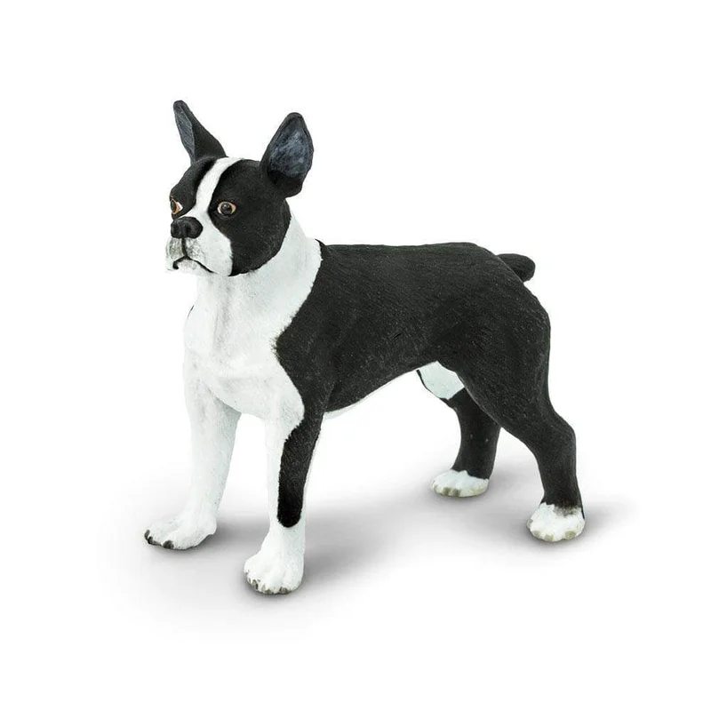 toychestnh1924998