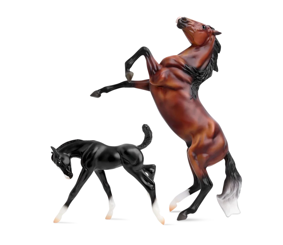 toychestnh1928791