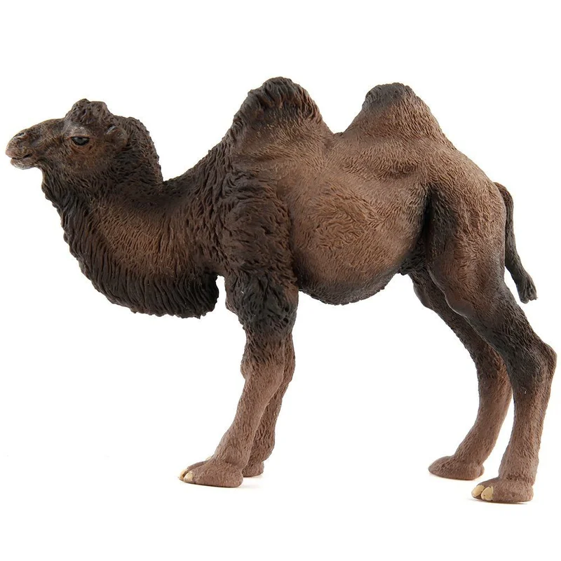 toysandco-2067436