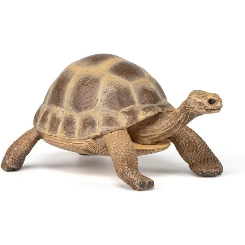 toysandco-2068168