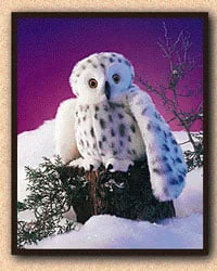 toysandco-2069888