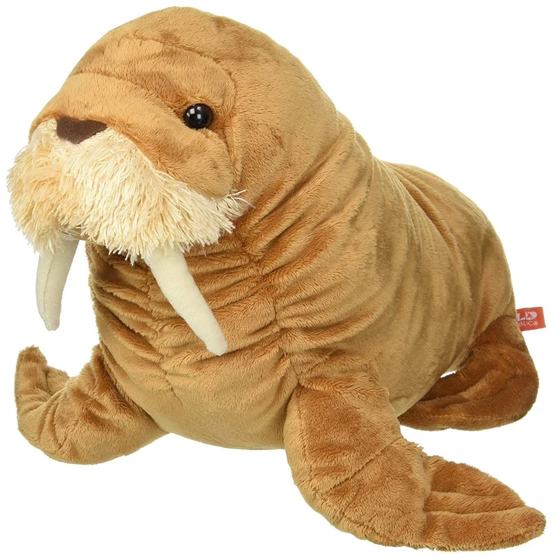 toysandco-2078614