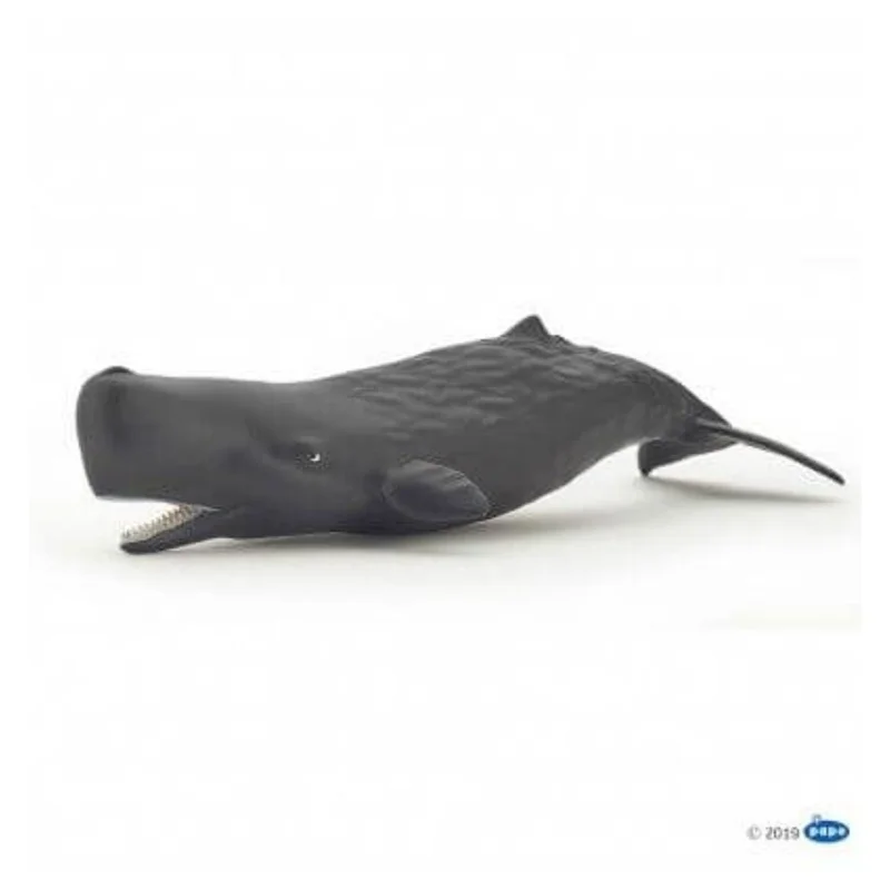 toysandco-2080645