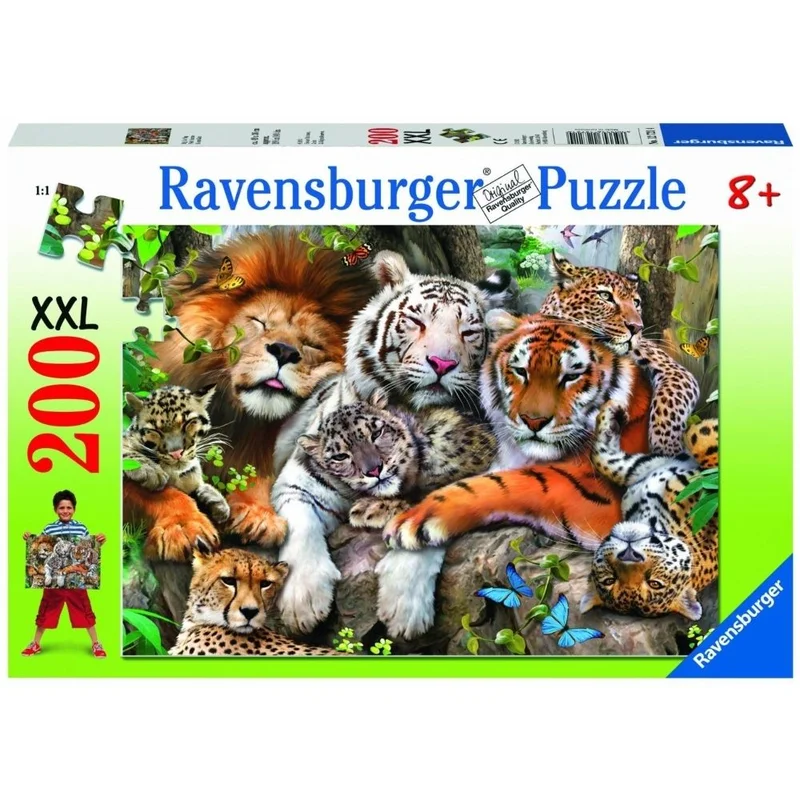 toysandco-2083878