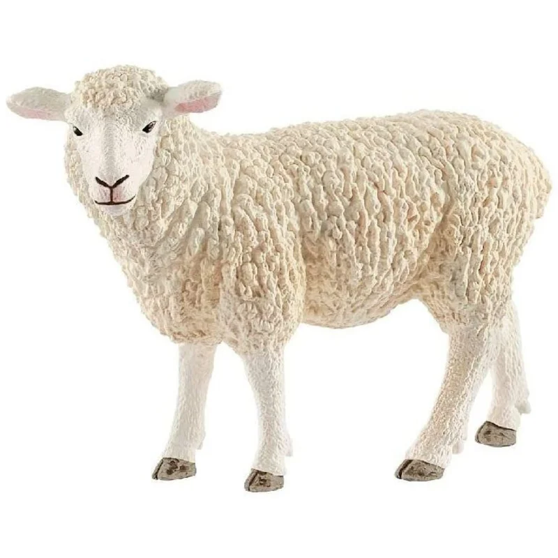 toysandco-2085396
