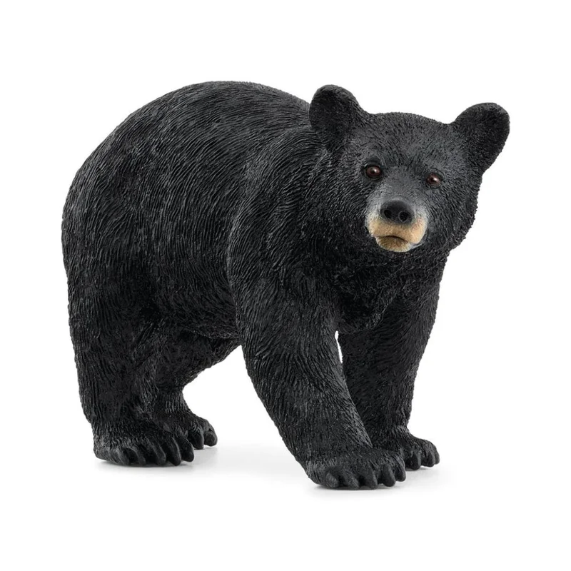 toysandco-2085942