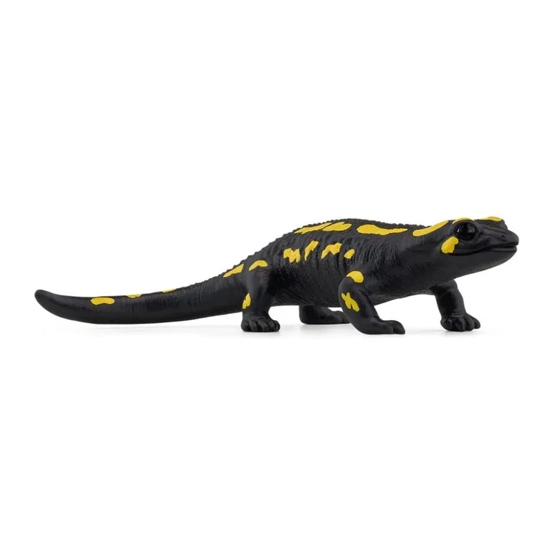 toysandco-2085946