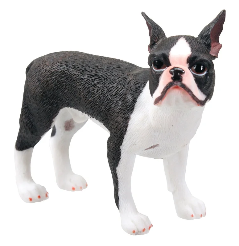 toytooth62227621